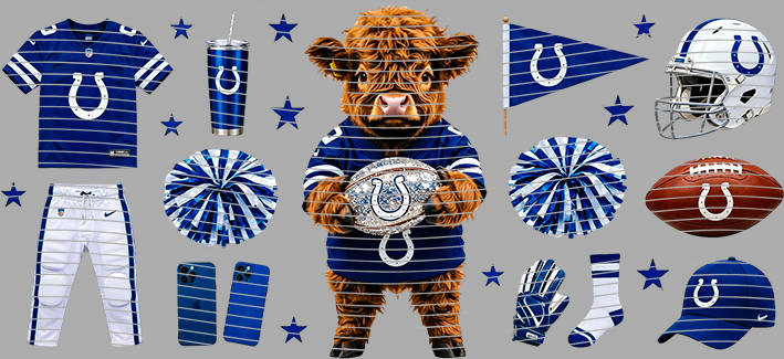 16oz team-NFL 3447